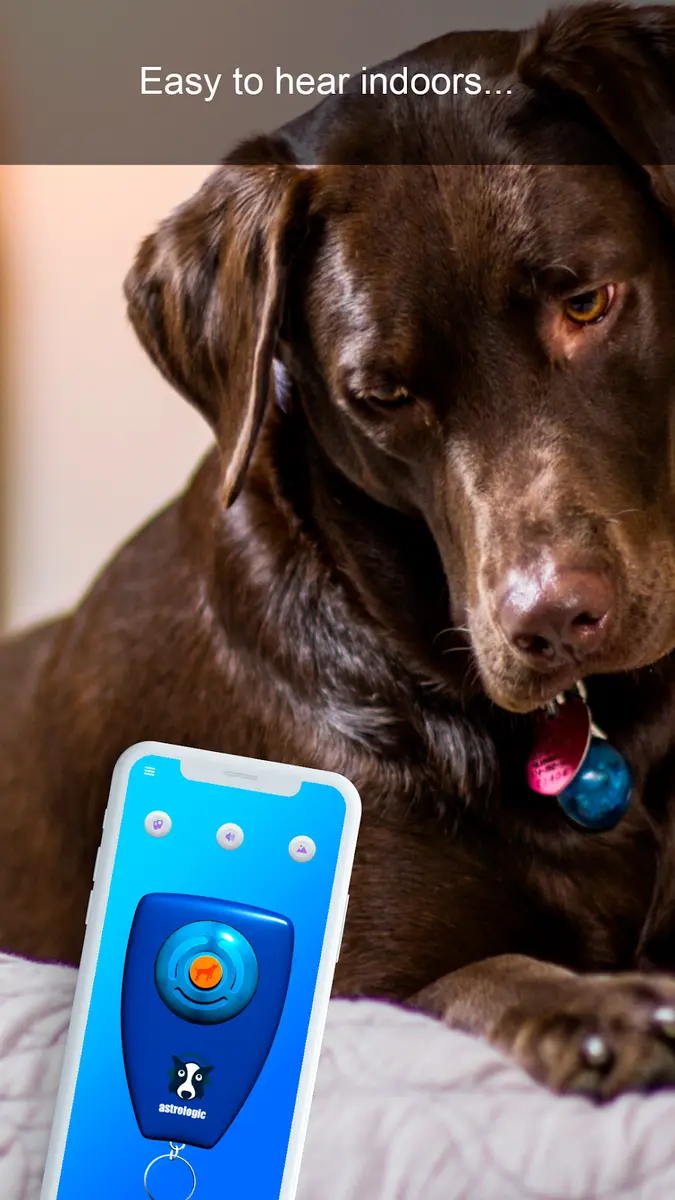 Dog Clicker Training 3D Screenshot