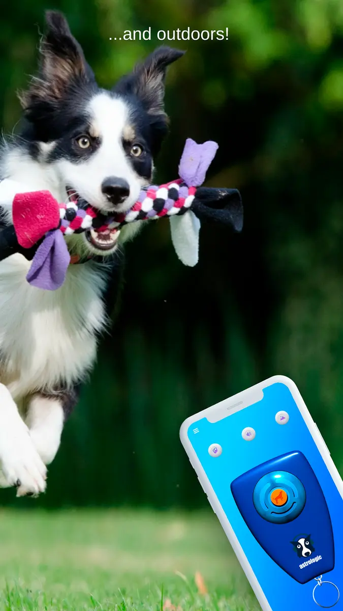 Dog Clicker Training 3D Screenshot