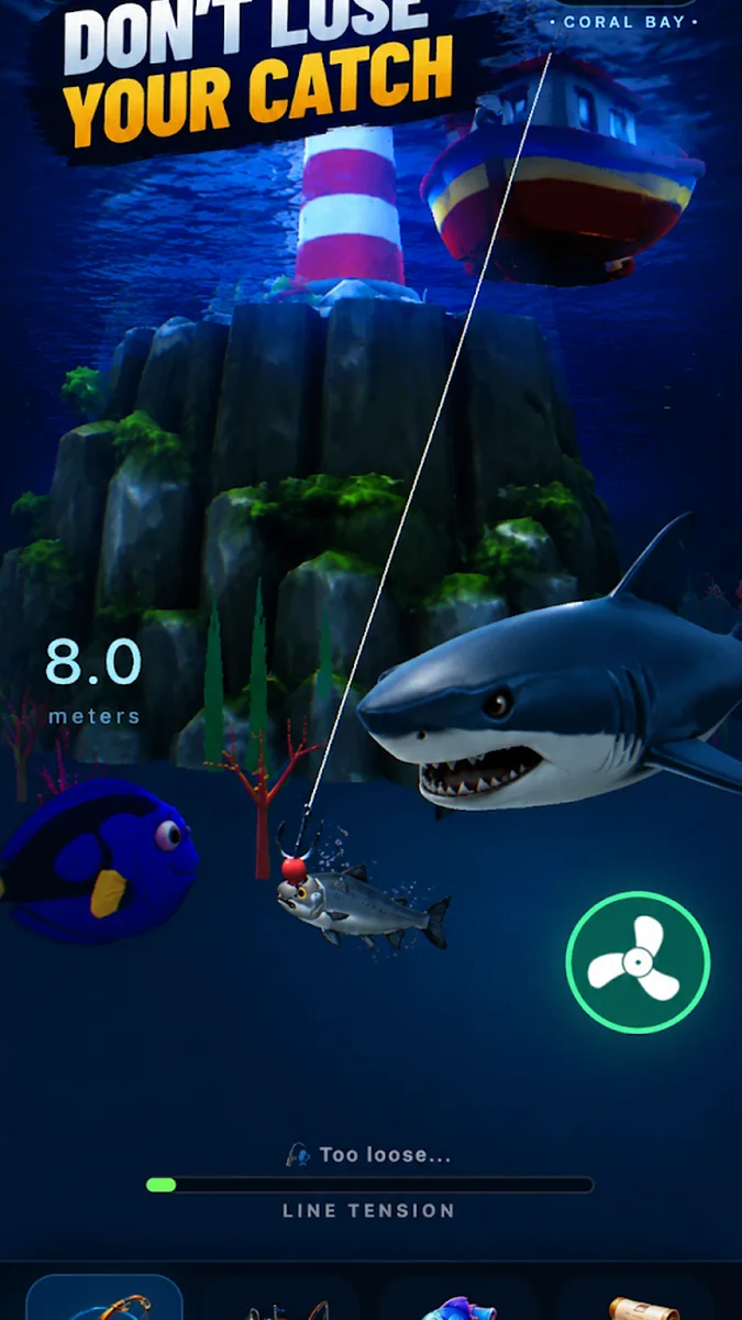 Shark Bay Fishing Fishdex