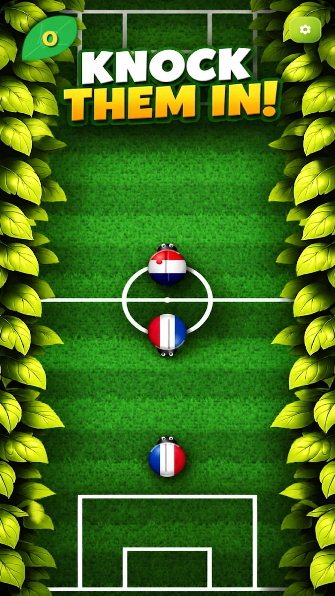 Soccer Bugs Flag Match